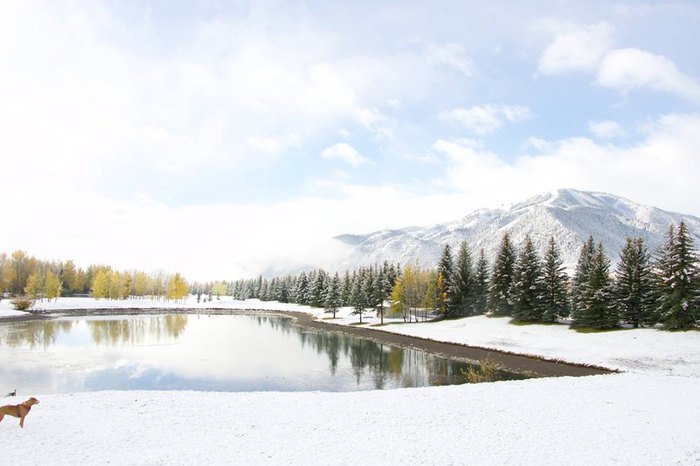 Best Christmas Towns in Idaho