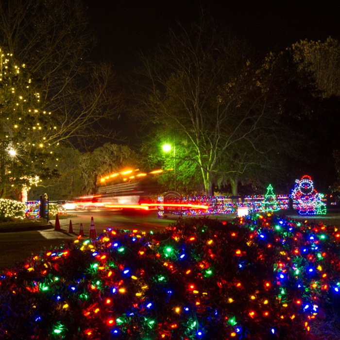 These Are The Best Christmas Lights In South Carolina