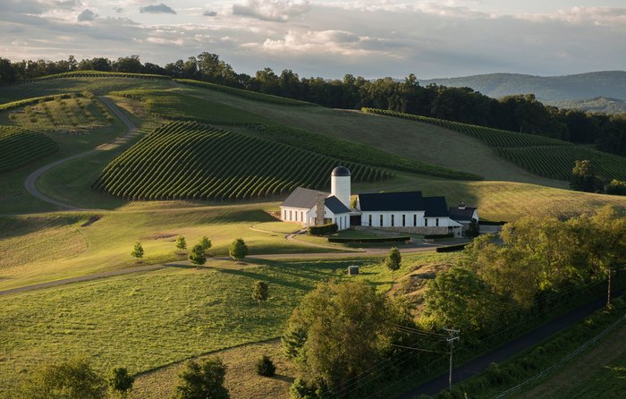 dc vineyard tours