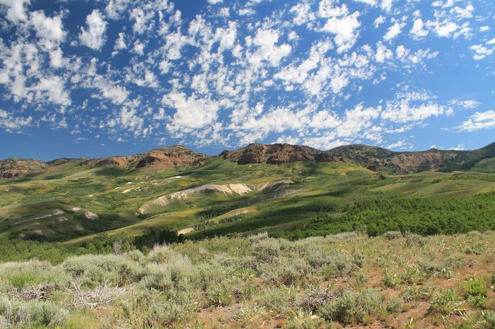 Jarbidge