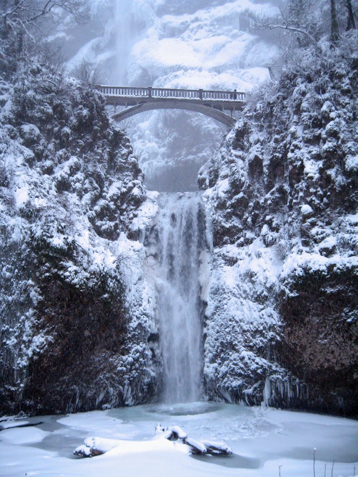 The 8 Best Winter Hikes In Oregon They Are Simply Majestic