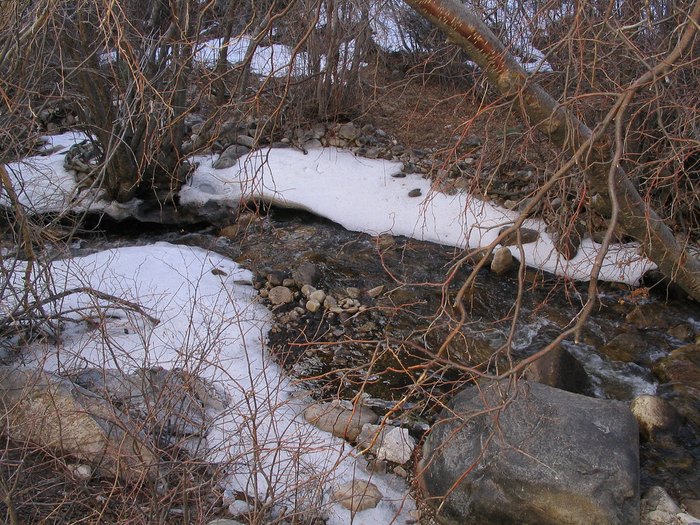 Lehman Creek Trail