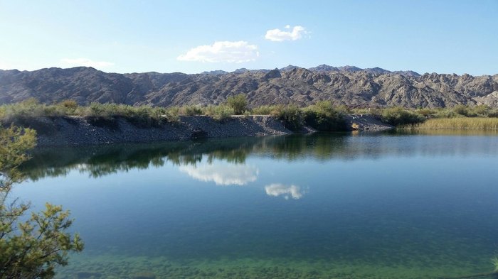 Big Bend of the Colorado Park