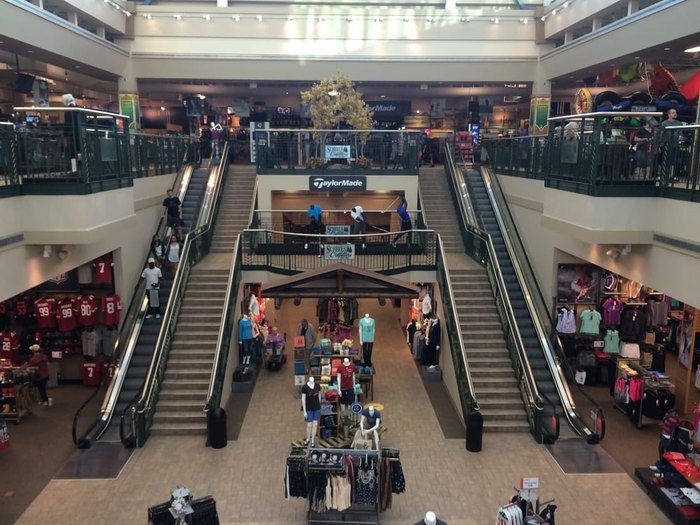 Scheels Sparks