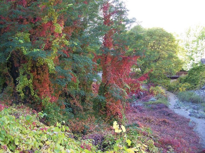 Kershaw-Ryan State Park