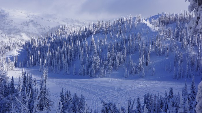 Island Park, ID