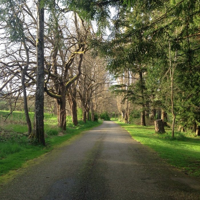 are dogs allowed at fort steilacoom park