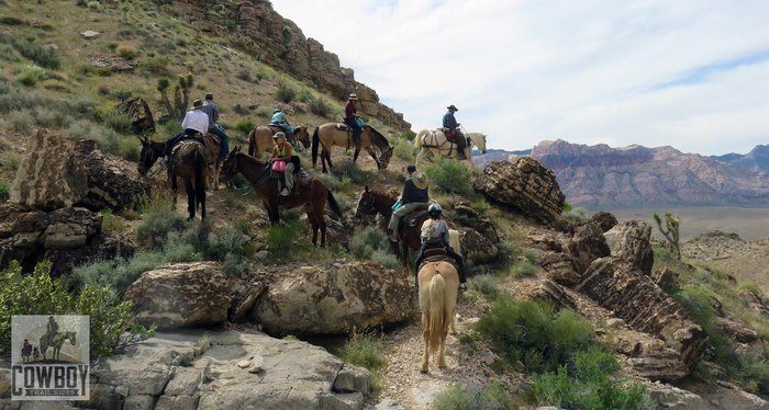 Cowboy Trail Rides