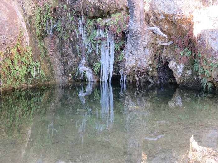 First Creek Canyon Trail