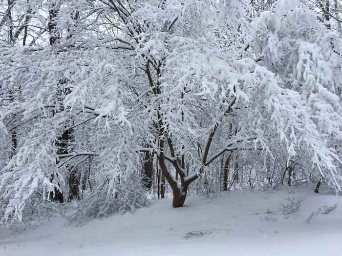 The 11 Best Winter Hikes In West Virginia