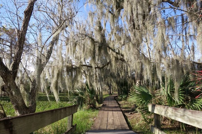 11 Underrated Trails In Louisiana You Can Explore Anytime Of Year ...