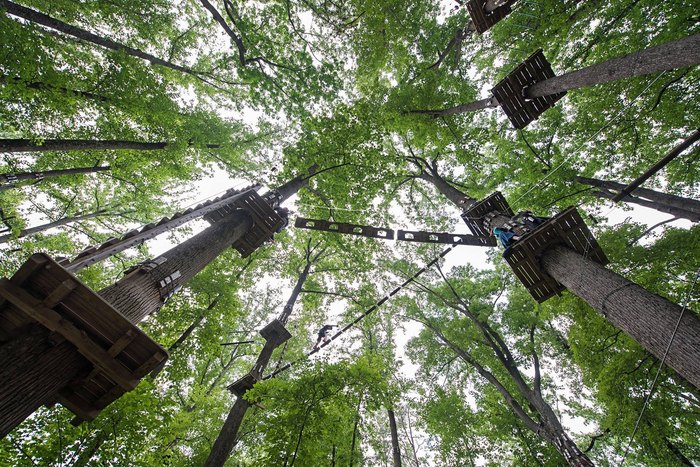 Play Among The Trees At This Huge Adventure Park In Maryland