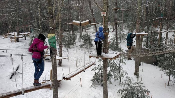 Treetops reopens at Paradise Park