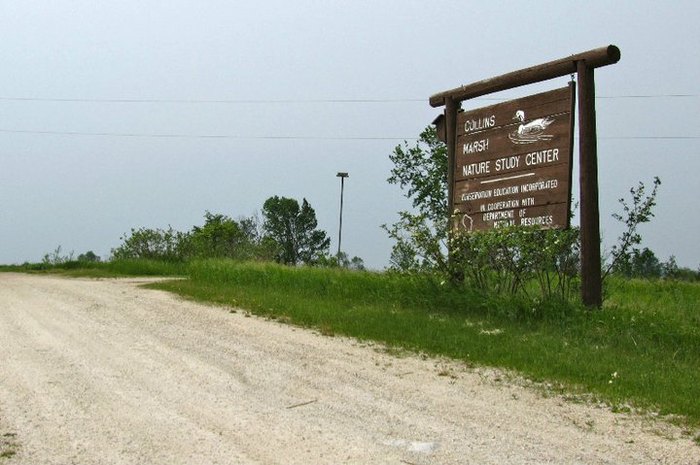 Hidden Gem Restaurant In A Beautiful Marsh: Al Corso In Wisconsin