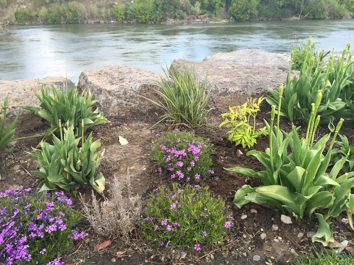 Japanese Friendship Garden at Sportsman Park, Idaho Falls