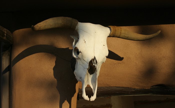 box canyon ghost ranch new mexico