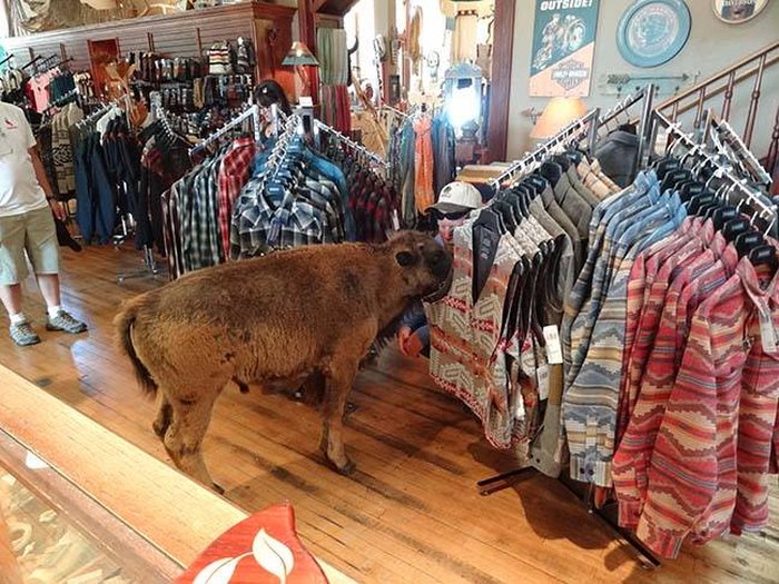 Prairie Edge Trading Co. And Galleries: A One Of A Kind Trading Post In ...