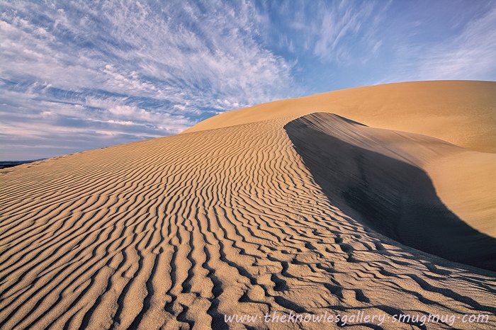 are dogs allowed at bruneau sand dunes