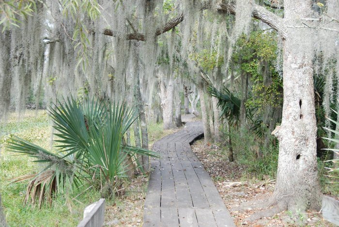 11 Gorgeous Trails In Louisiana Less Than 2 Miles That Nearly Anyone ...