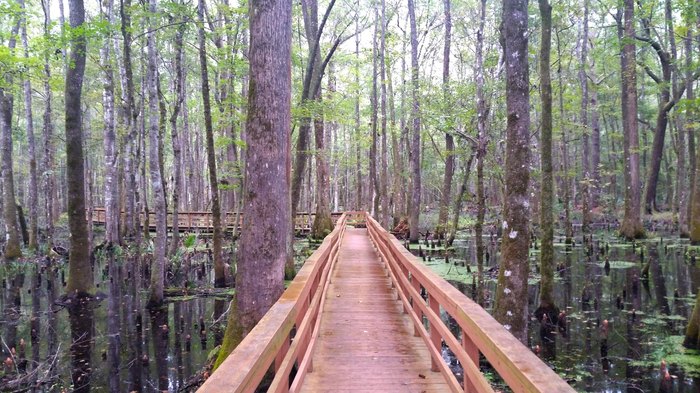 11 Of The Best Hikes In South Carolina Under 3 Miles You'll Love