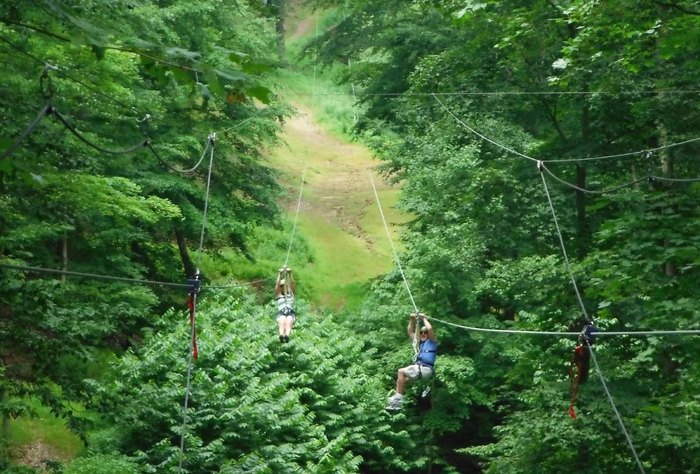 zip trip near indianapolis in