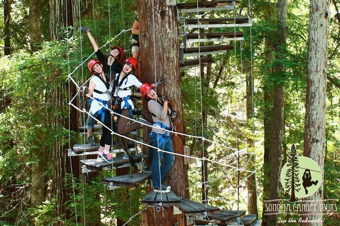 sonoma canopy tours buy one get one free