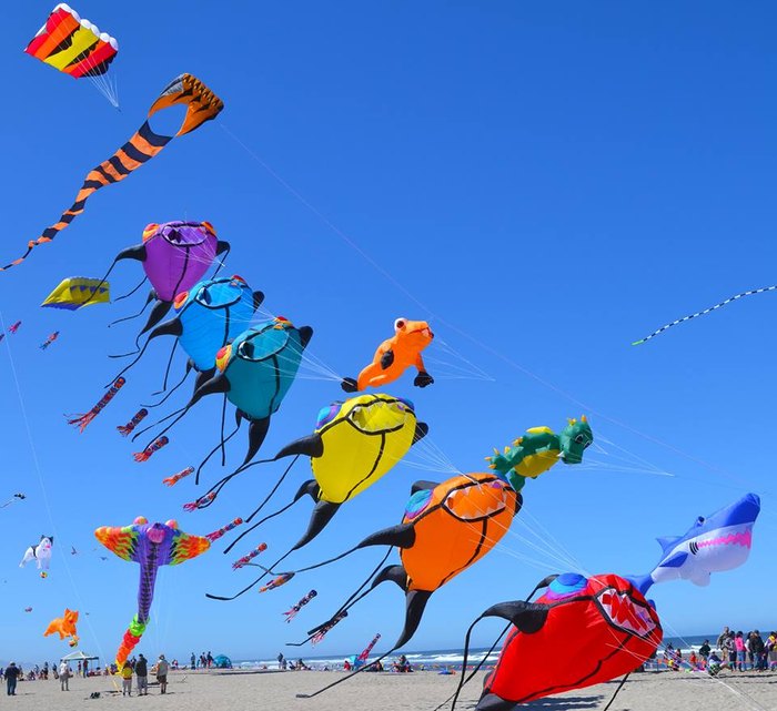 Lincoln City Kite Festival Is The Best Kite Festival Near Portland