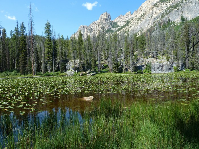 Idaho Doyle Campground: Your Gateway to Idaho's Rugged Beauty