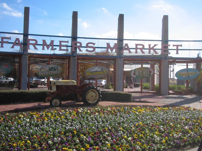 harvest market texas