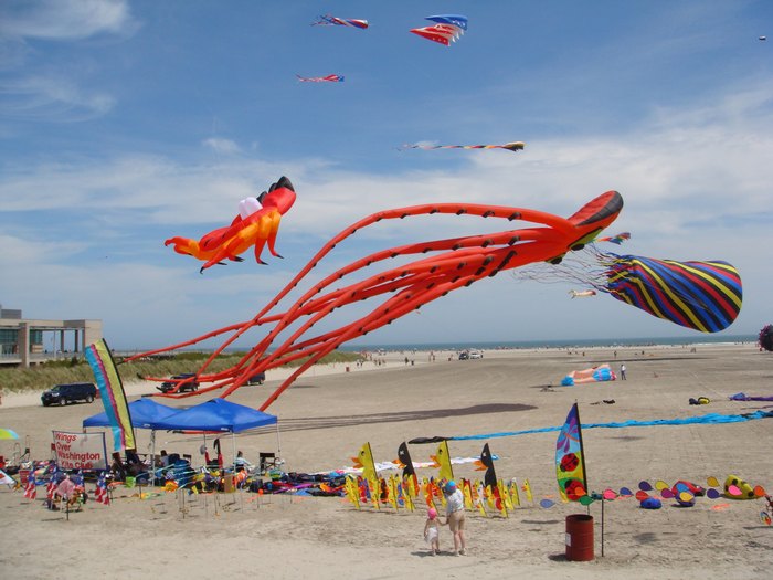 This Incredible Kite Festival In New Jersey Is A MustSee