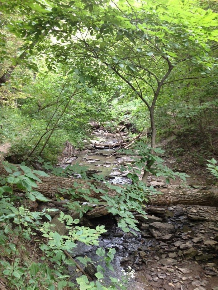 The Hiking Trails At Platte River State Park Are Some Of The Best ...