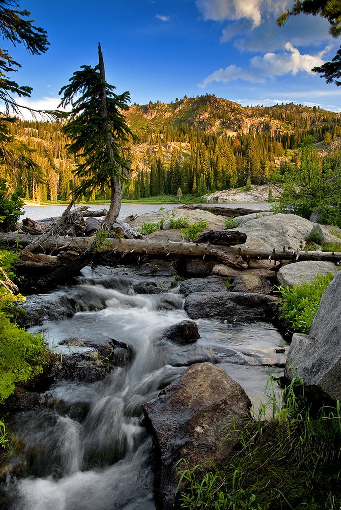 Blue Lake Is The Most Beautiful Campground In Idaho