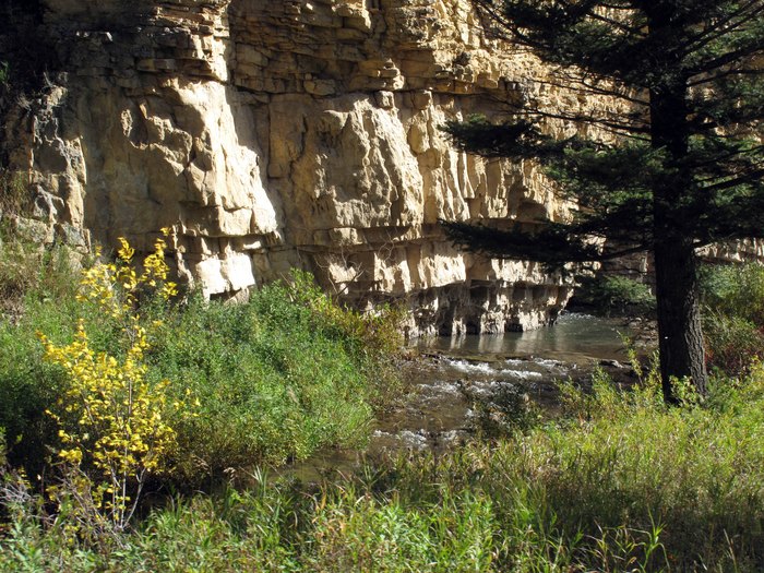 Escape to the Wild: Hay Canyon Campground, Montana's Hidden Gem