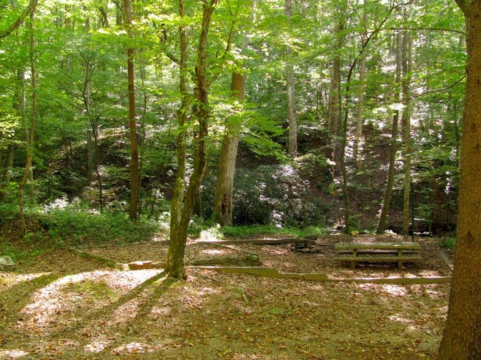 Andrews Cove Recreation Area Camping