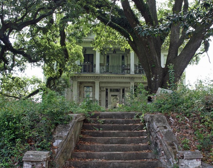 7 Historic Plantations In Mississippi Being Reclaimed By Nature