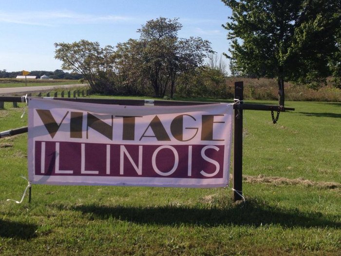 Vintage Illinois Wine Festival Is The Best Summer Wine Fest in Illinois
