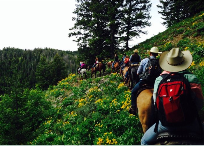 6 Best Horseback Riding Tours In Idaho