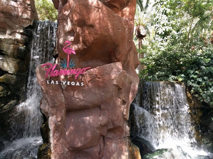Paradise falls at the Flamingo Hotel & Casino in Las Vegas, NV