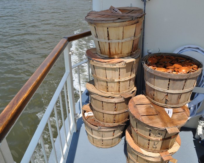 crab cruise maryland