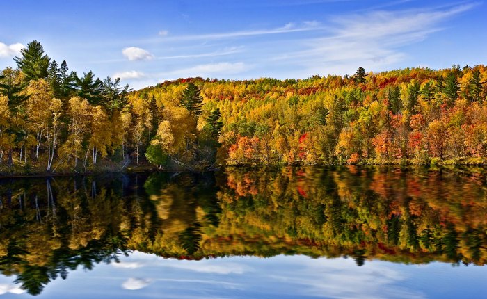 The Map That Shows You When And Where To View Fall Foliage In Wisconsin