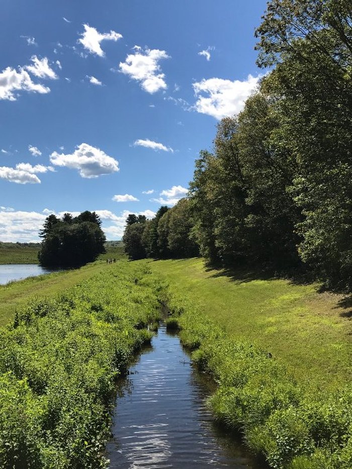 Escape to Serenity: Hopkinton State Park, Your Massachusetts Oasis