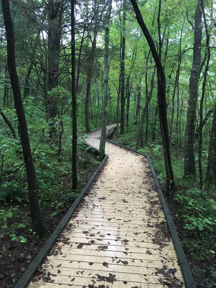 Sloan's Crossing Pond Trail, Kentucky - 216 Reviews, Map