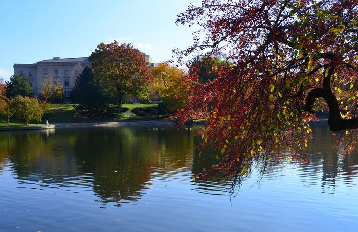 This Map Shows When Fall Foliage Will Arrive In Cleveland