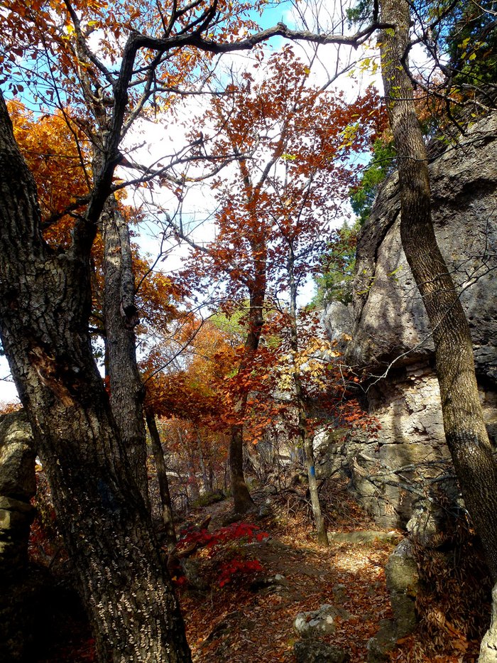 The Kansas Park That Will Make You Feel Like You Walked Into A Fairy ...