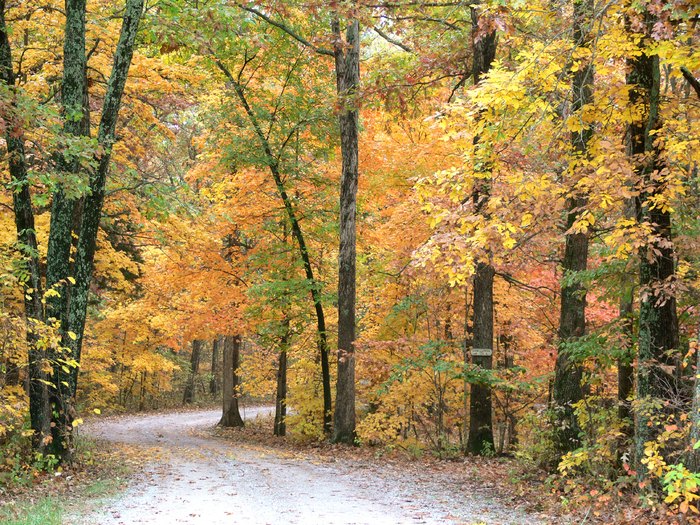 This Map Will Show You When To See Fall Colors In Missouri