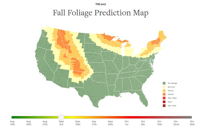 Here Is The Best Time To See Fall Foliage In Louisville