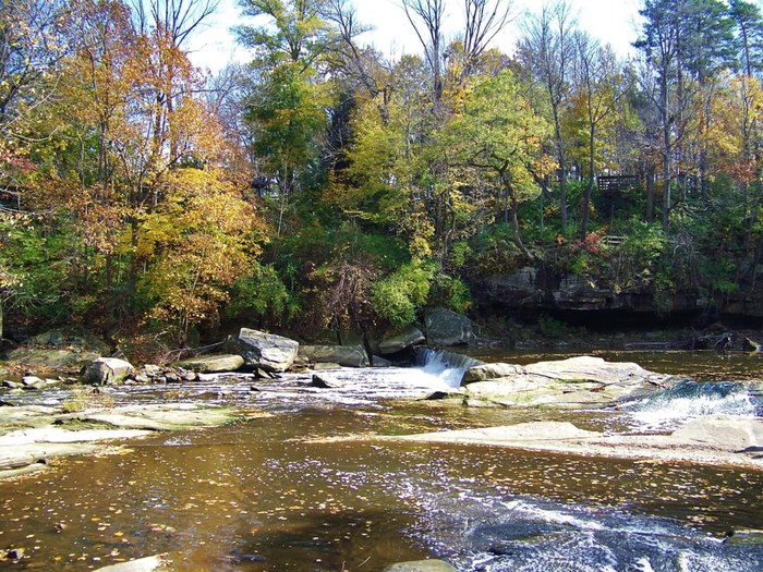 Experience Incredible Foliage At David Fortier River Park Near Cleveland