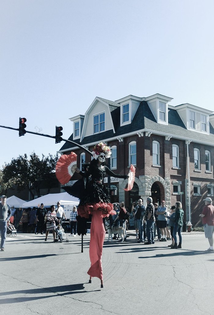 Halloweenfest Makes Brevard The Best Halloween Town In North Carolina
