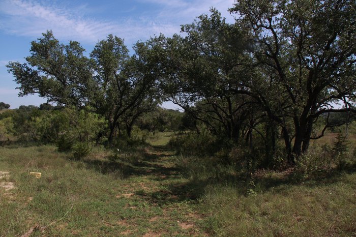 Westcave Outdoor Discovery Center: The Overlooked Destination Near ...