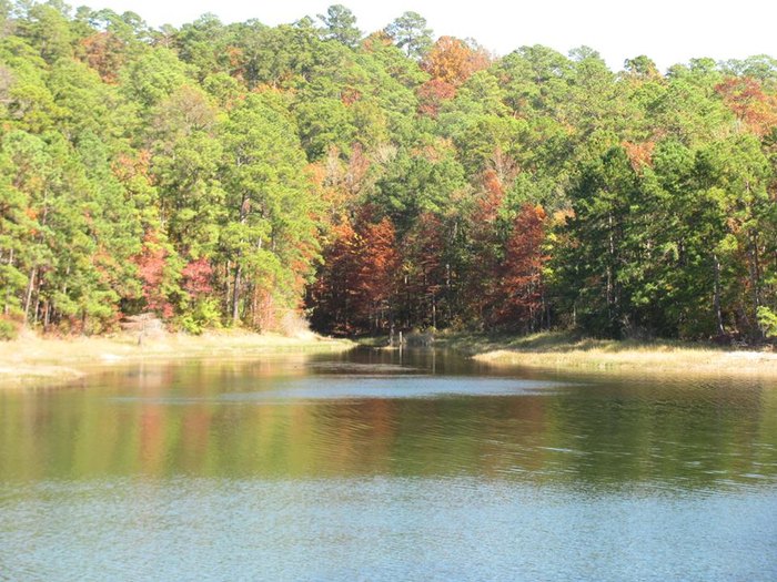 The One Hikeable Lake In Louisiana That's Simply Breathtaking In The Fall